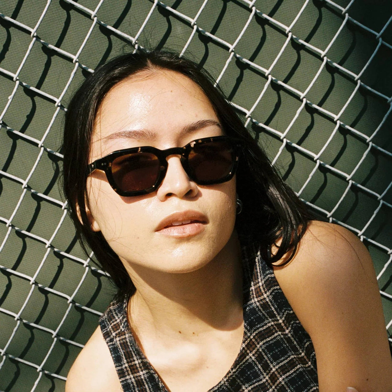 The No Wave - Black Tortoise Bio / Polarized Bronze