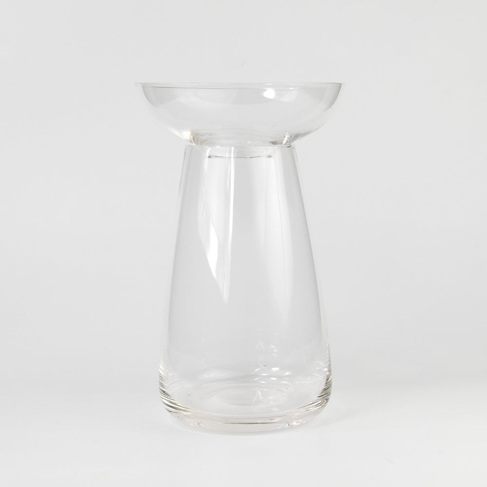Clear glass vase on a white background