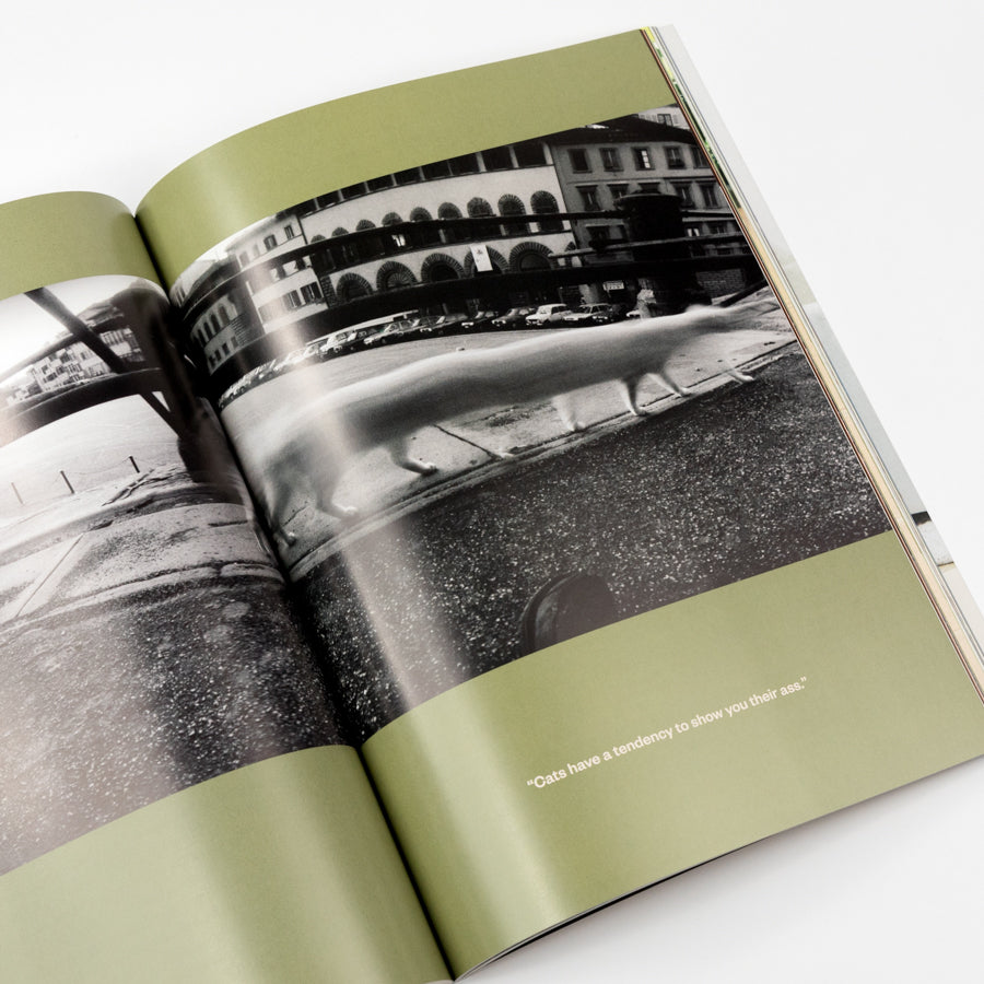 Open book with black and white photos of a building and street on green pages.
