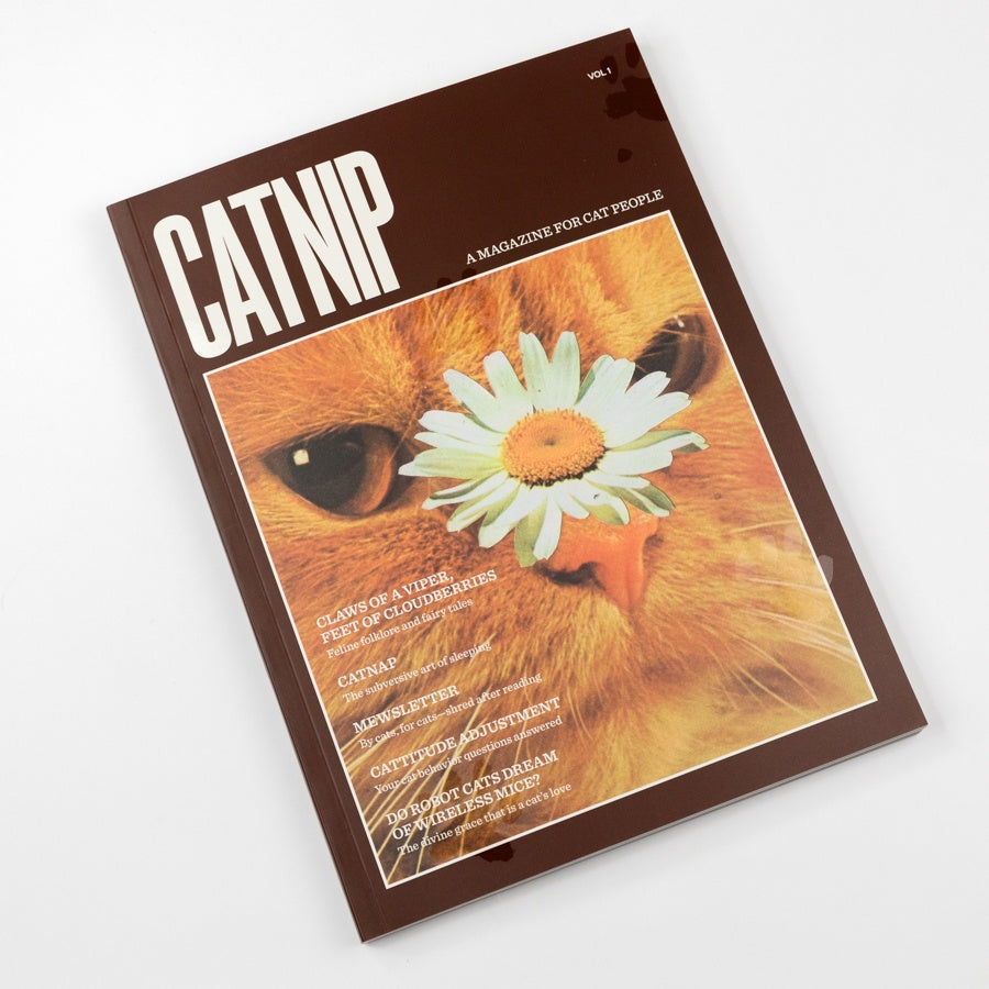 Magazine titled 'Catnip' with a cat's eye and flower on the cover