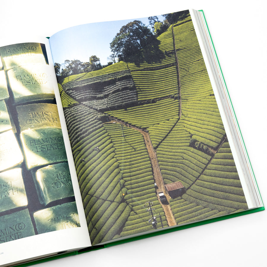 Open book showing an aerial view of tea fields with 'Hawking Estate' branding.