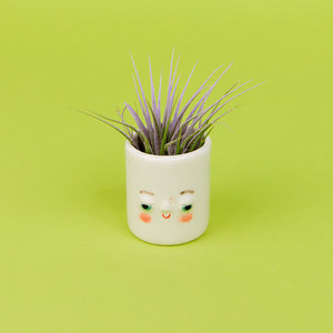 Mini Pal Planter with Airplant - Timmy