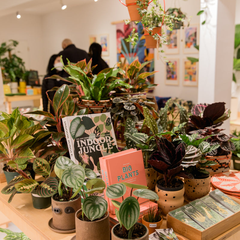 It's Official! Our plant store is OPEN!