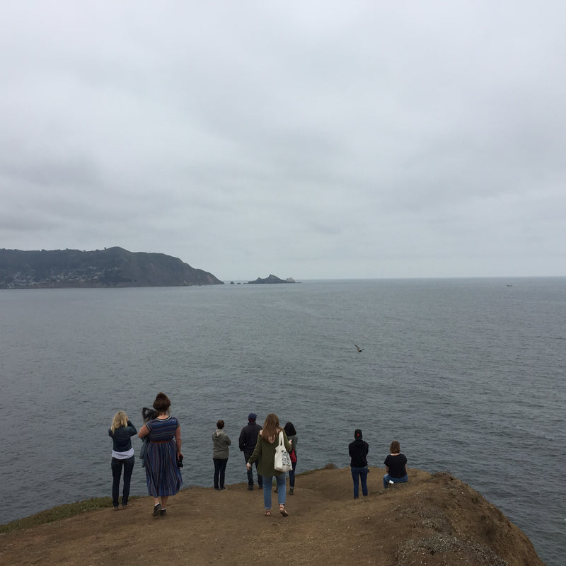 Rare Device Staff Retreat 2k17