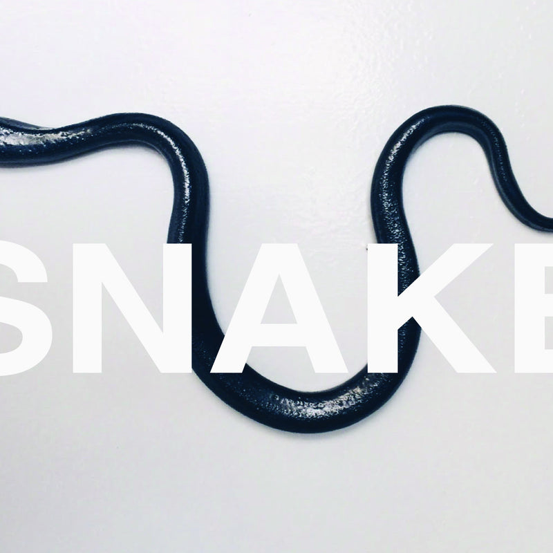 SNAKE by Linda Fahey: Gallery Exhibition and Opening Reception
