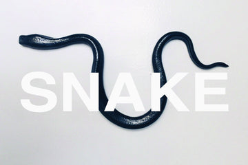 SNAKE by Linda Fahey: Gallery Exhibition and Opening Reception