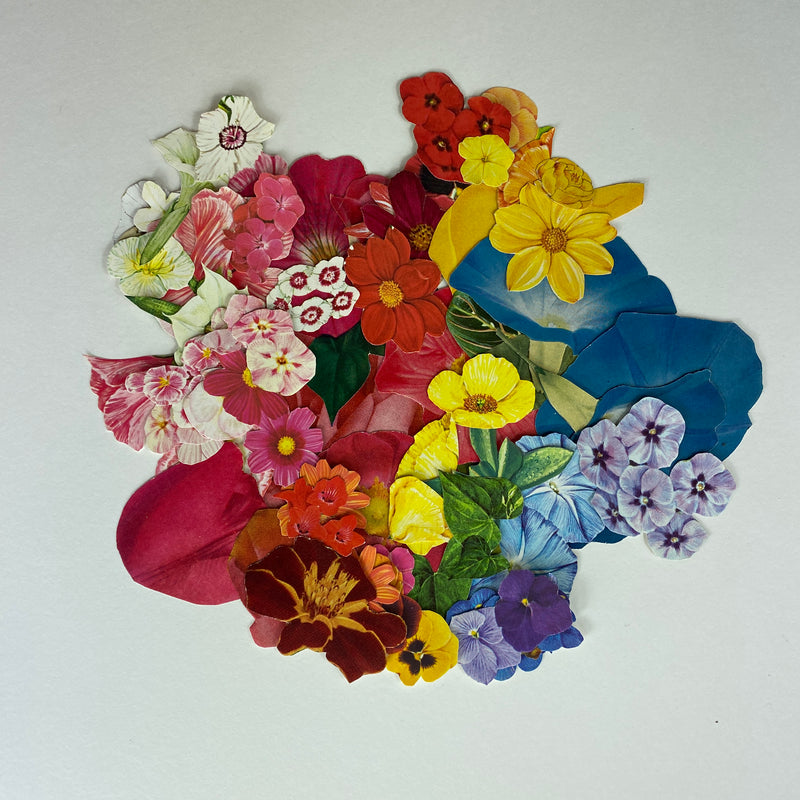 Superbloom by Erin Adelman Rice