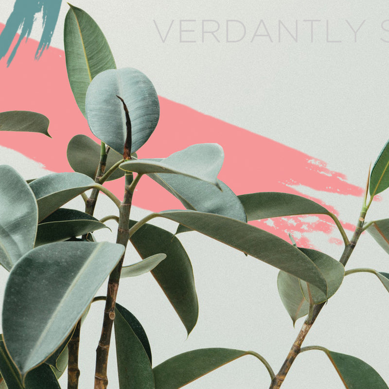 Verdantly Still: A Rare Device Employee Show
