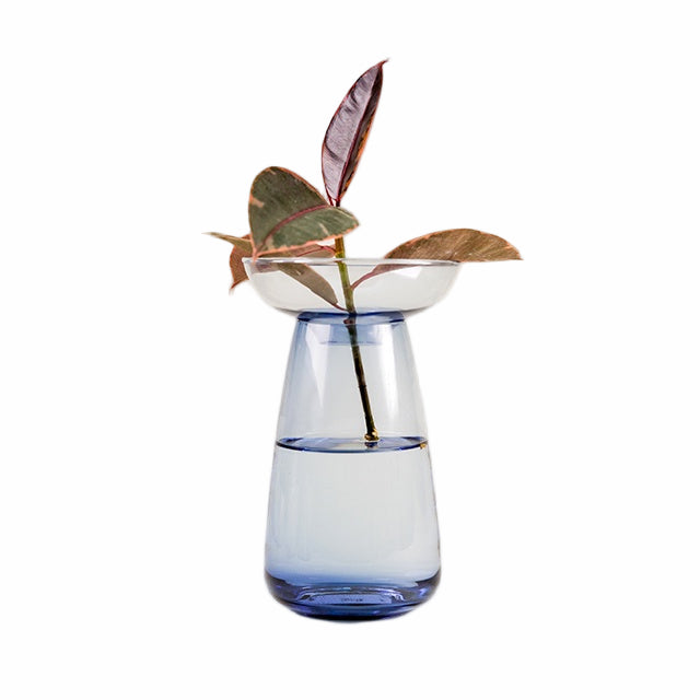 Blue glass vase with a plant on a white background