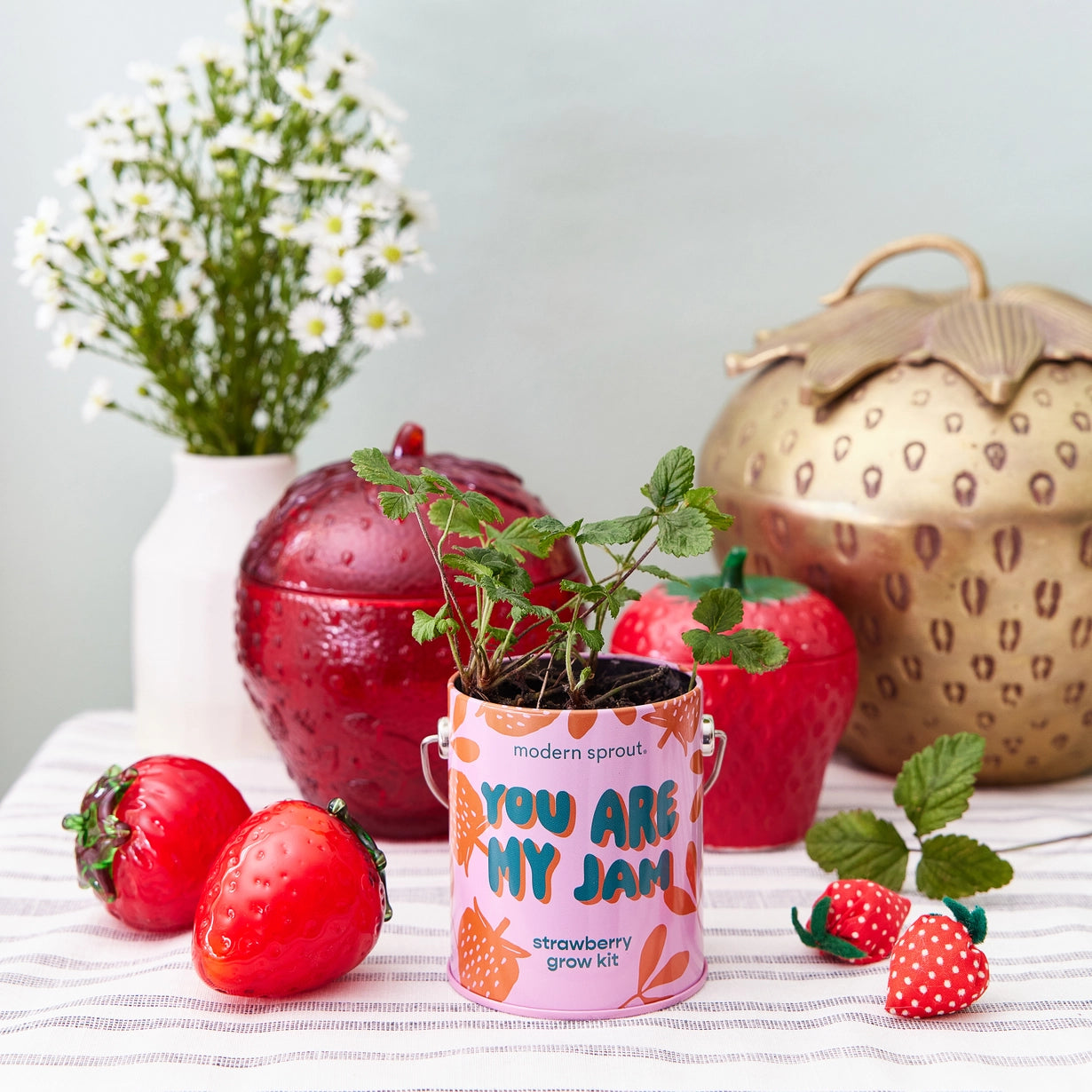 Complimentary Color Grow Kit - Strawberry