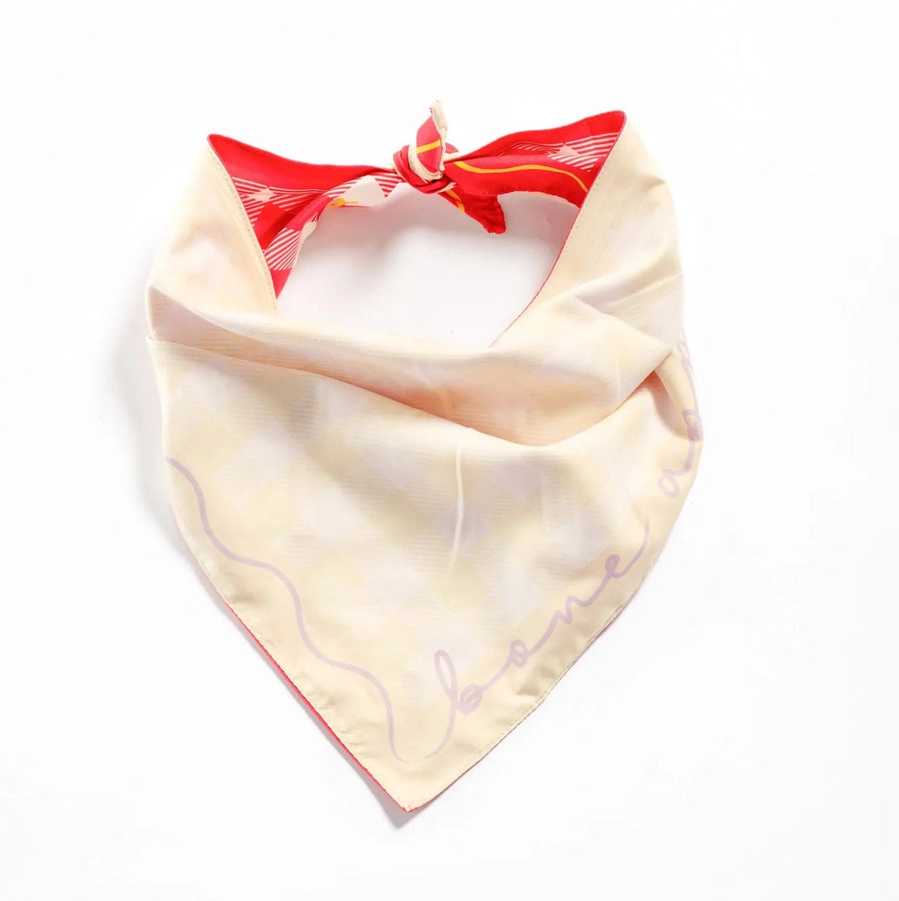 Bone Appétit Reversible Bandana