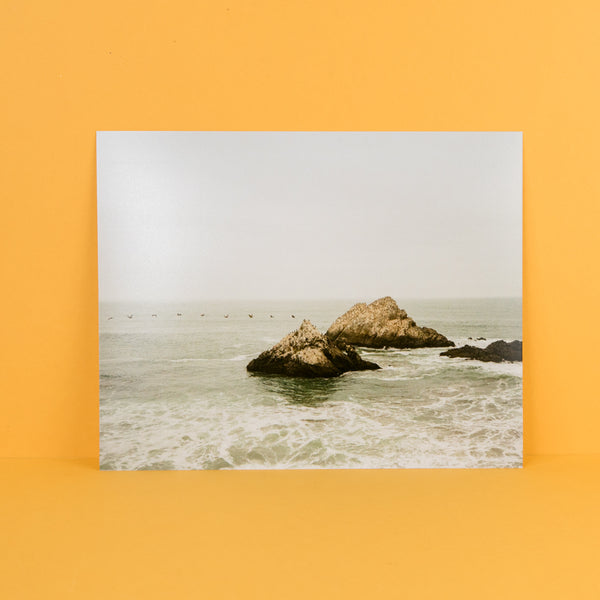 Seal Rocks, Lands End Print by Ariel Berk