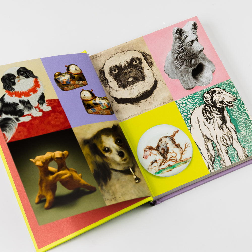 Open book with illustrations of dogs on a white background
