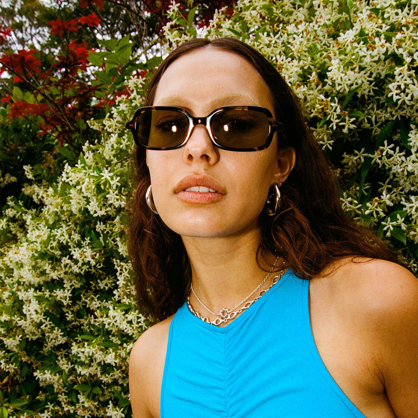 The Dream Cassette - Lunar Tortoise Bio / Polarized Olive