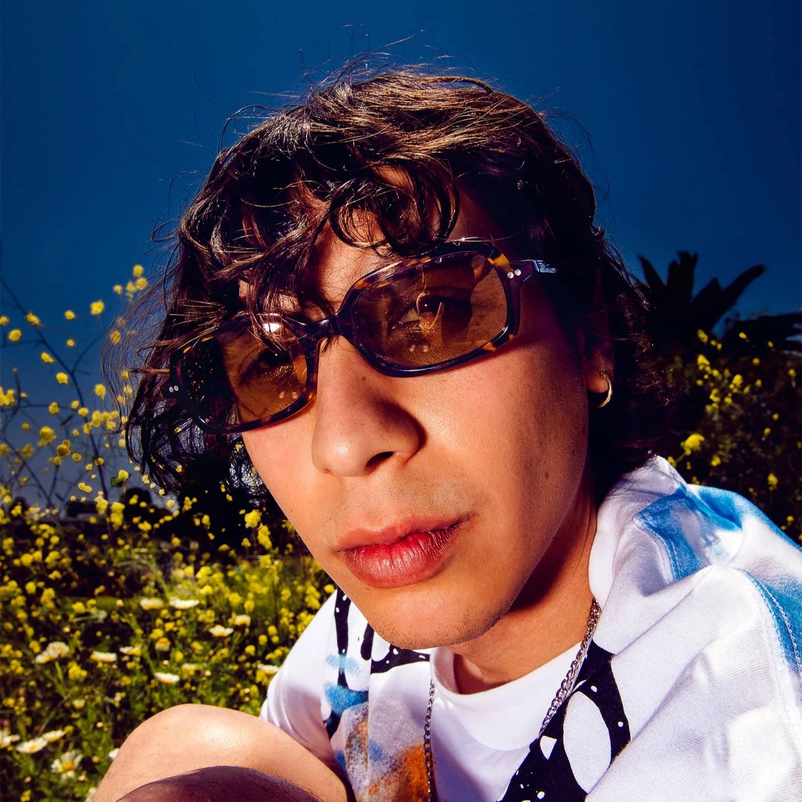 The Dream Cassette - Lunar Tortoise Bio / Polarized Olive