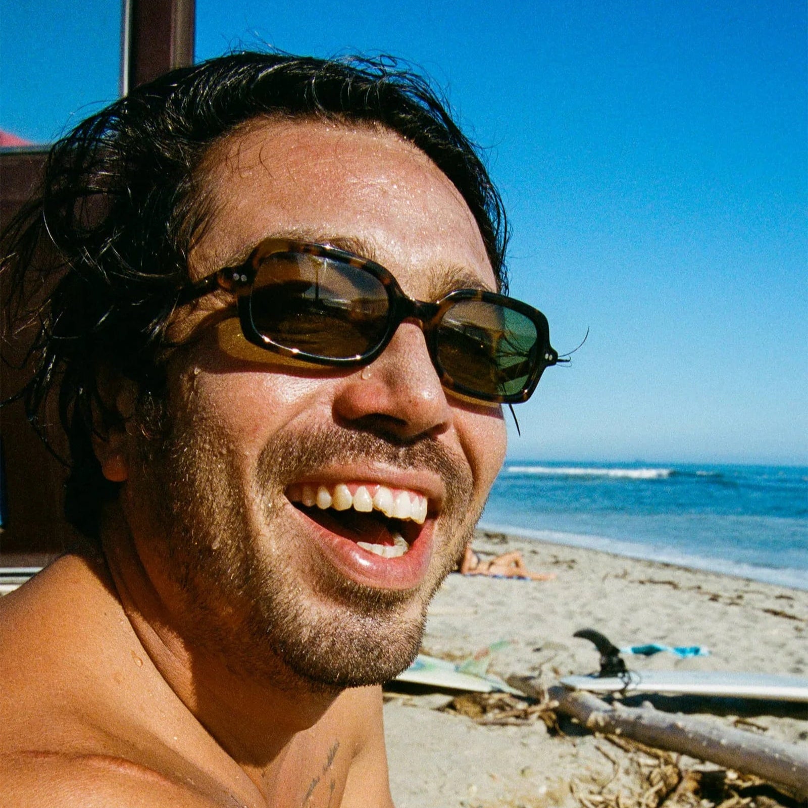 The Dream Cassette - Lunar Tortoise Bio / Polarized Olive