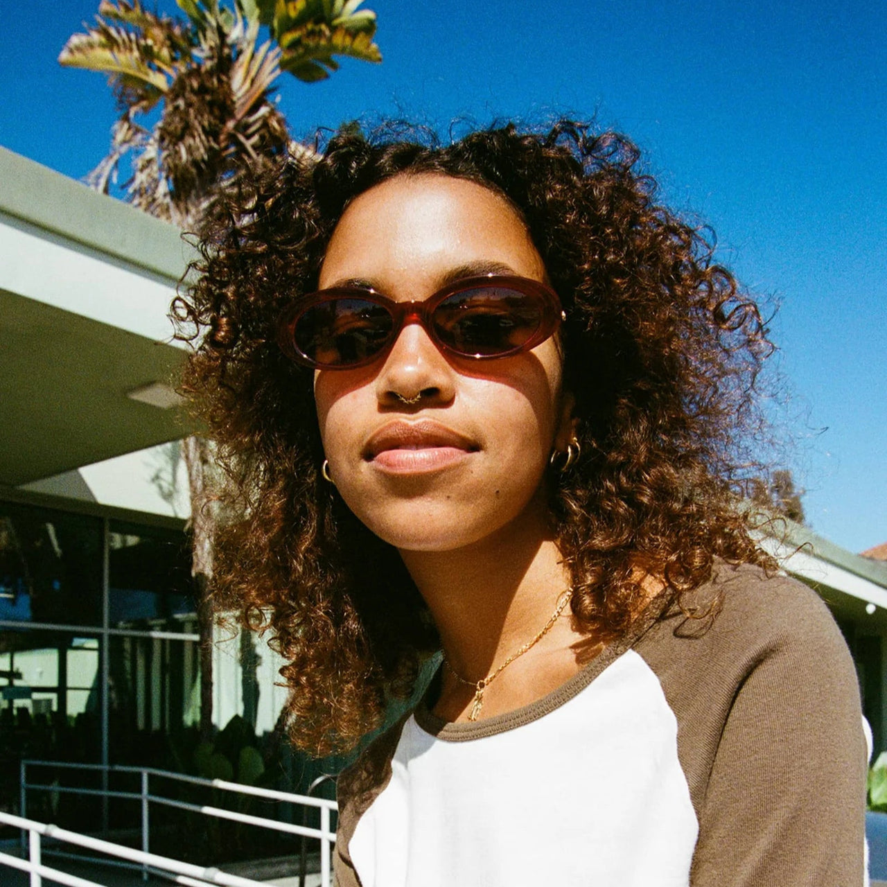 The Sweet Leaf - Crystal Black Cherry Bio / Amber