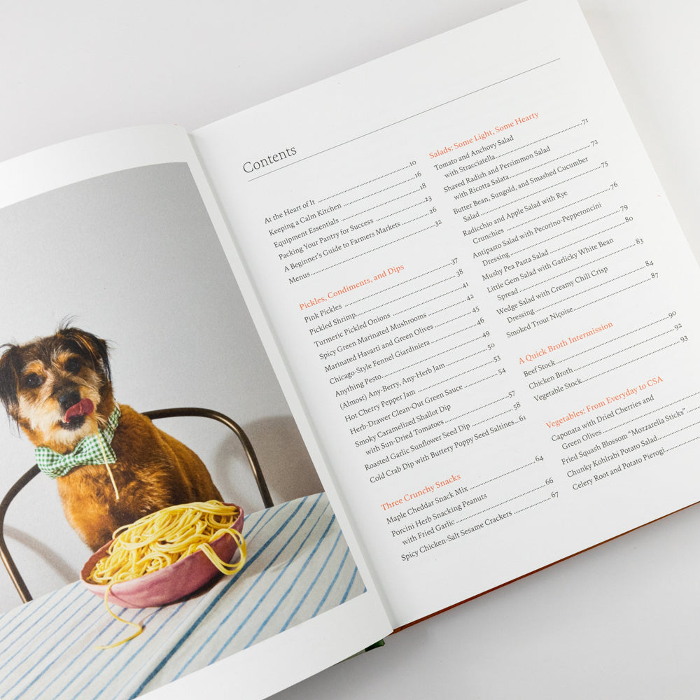 Open book with a dog and spaghetti illustration on a white background