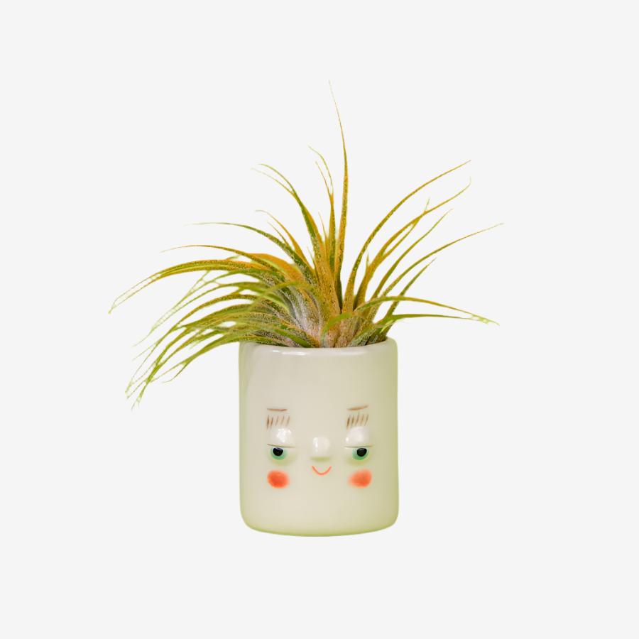 Mini Pal Planter with Airplant - Gerry