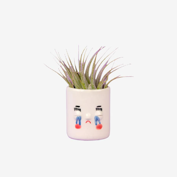 Friend Assembly Mini Pal Planters Crybaby