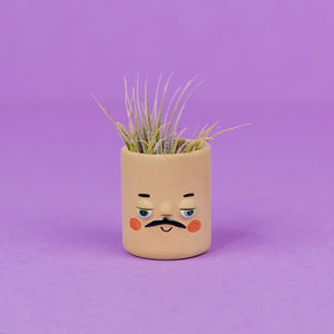 Mini Pal Planter with Airplant, Sand - Keith