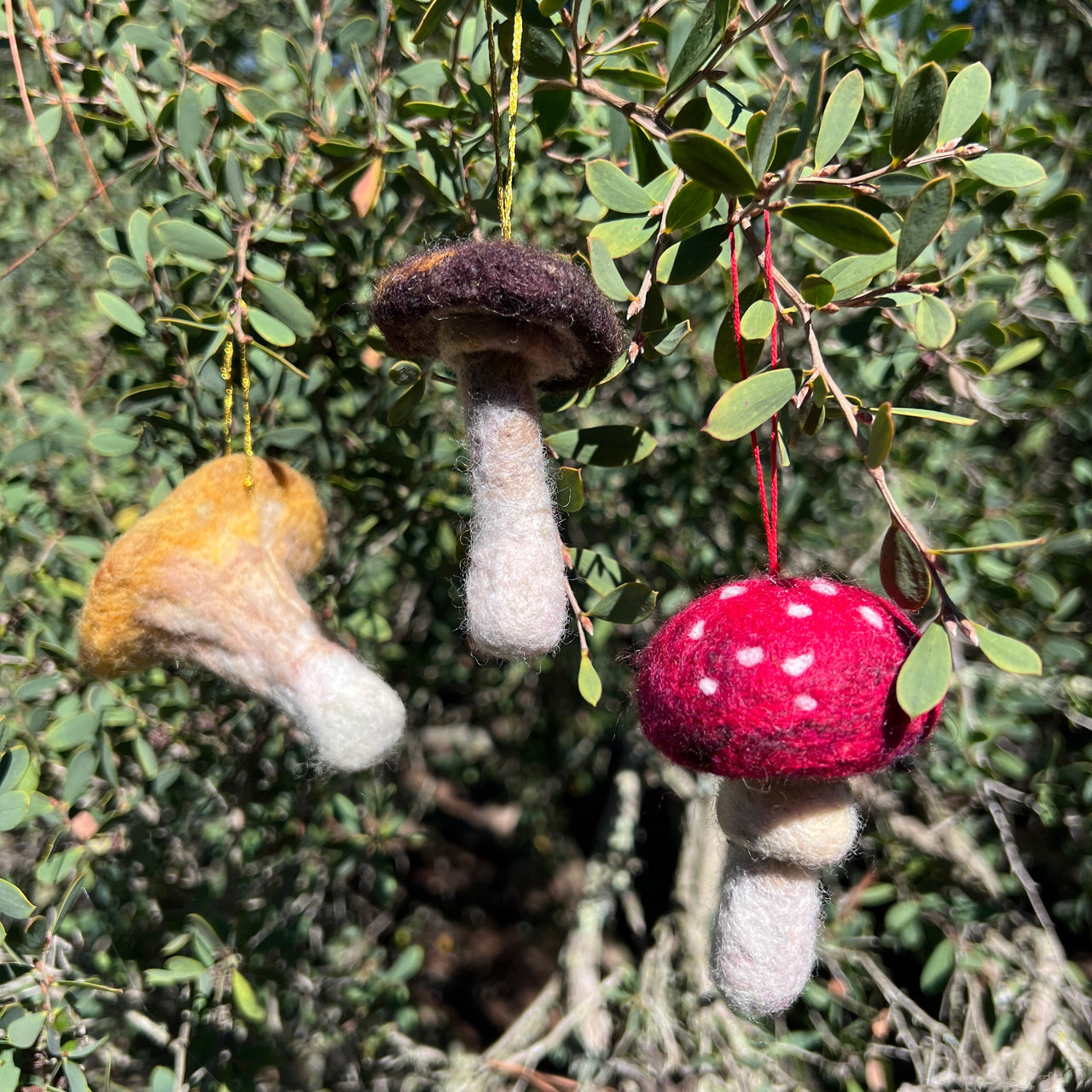 Mushroom Ornament Workshop
