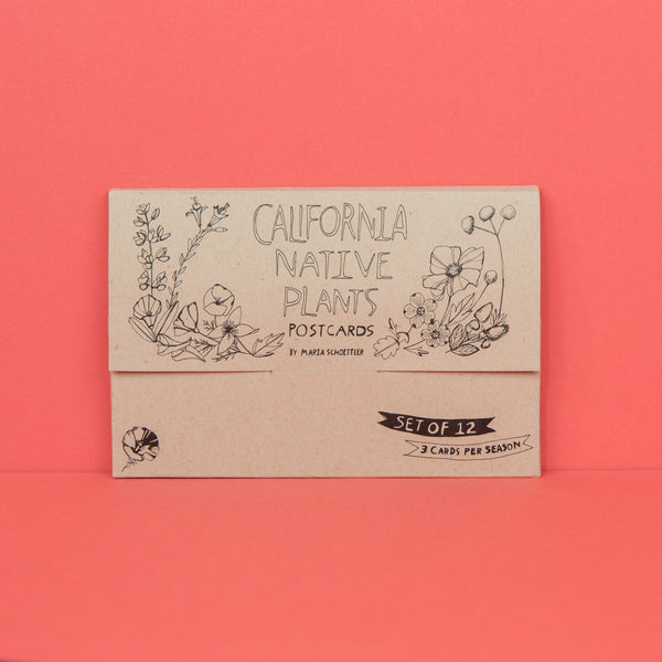 Set of 12 California Native Plants Postcards by Maria Schoettler
