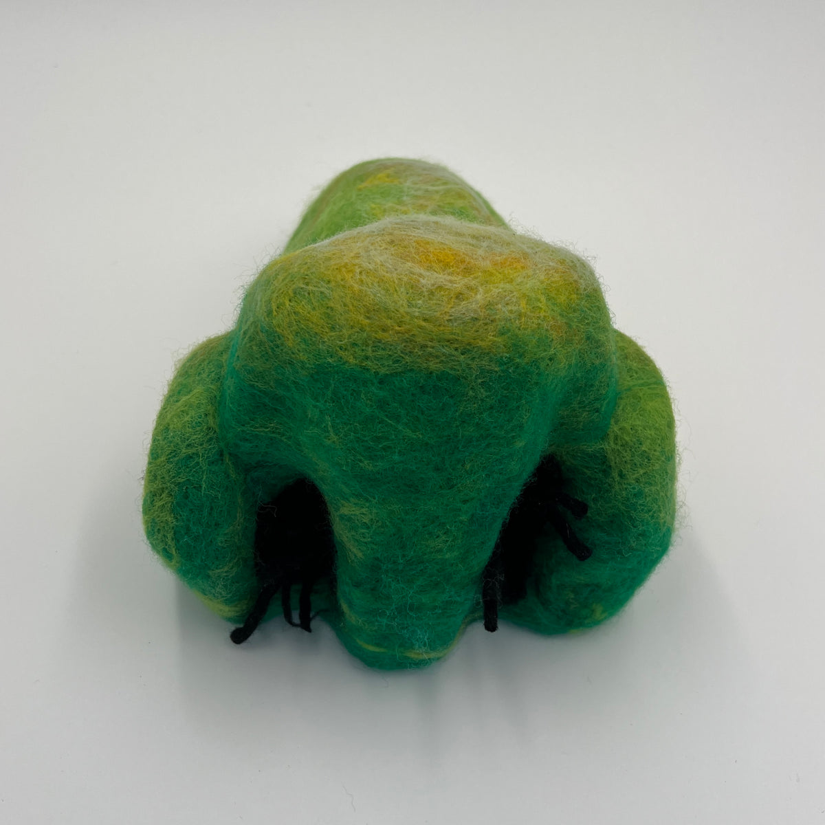Growing old together (small green with nose hairs)