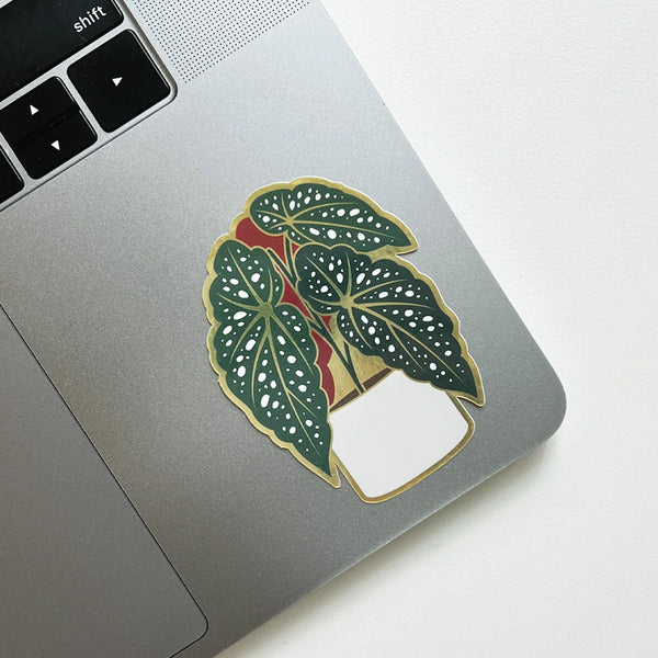 Paper Anchor Co Begonia Sticker on a laptop