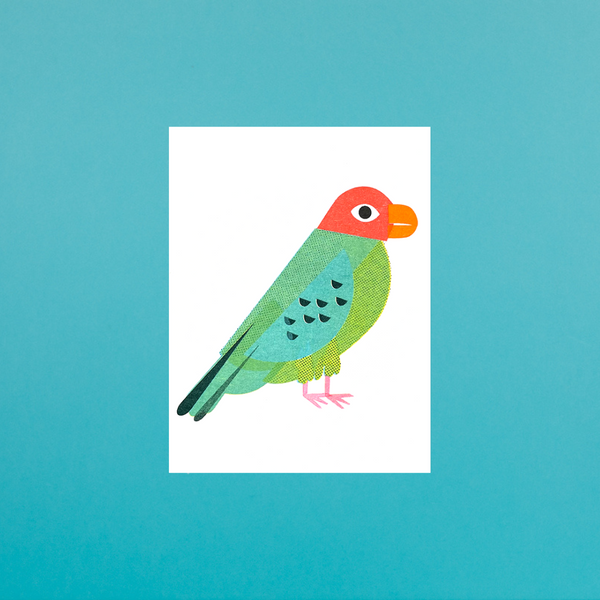 Scout Editions x Rare Device Parrots of Telegraph Hill s Mini Card