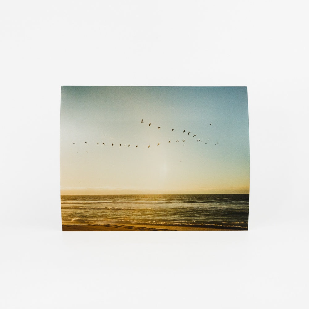 Monterey Print