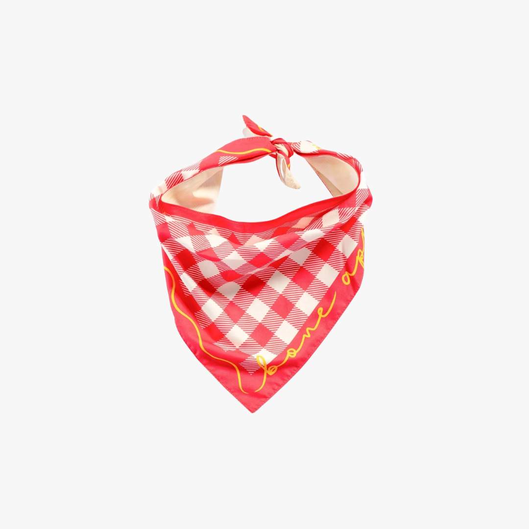 Bone Appétit Reversible Bandana
