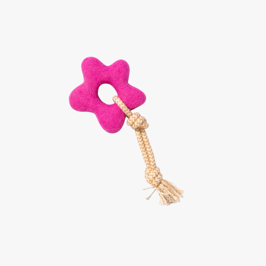 Pullin' Posies Felt Wool Toy