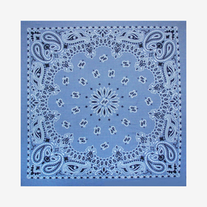 Bandanna - Chambray Paisley