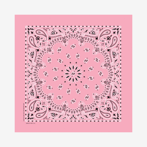 Bandanna - Light Pink Paisley