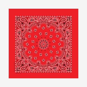 Bandanna - Red Paisley