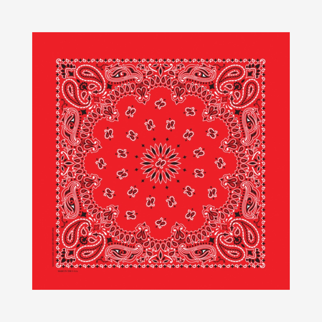 Bandanna - Red Paisley