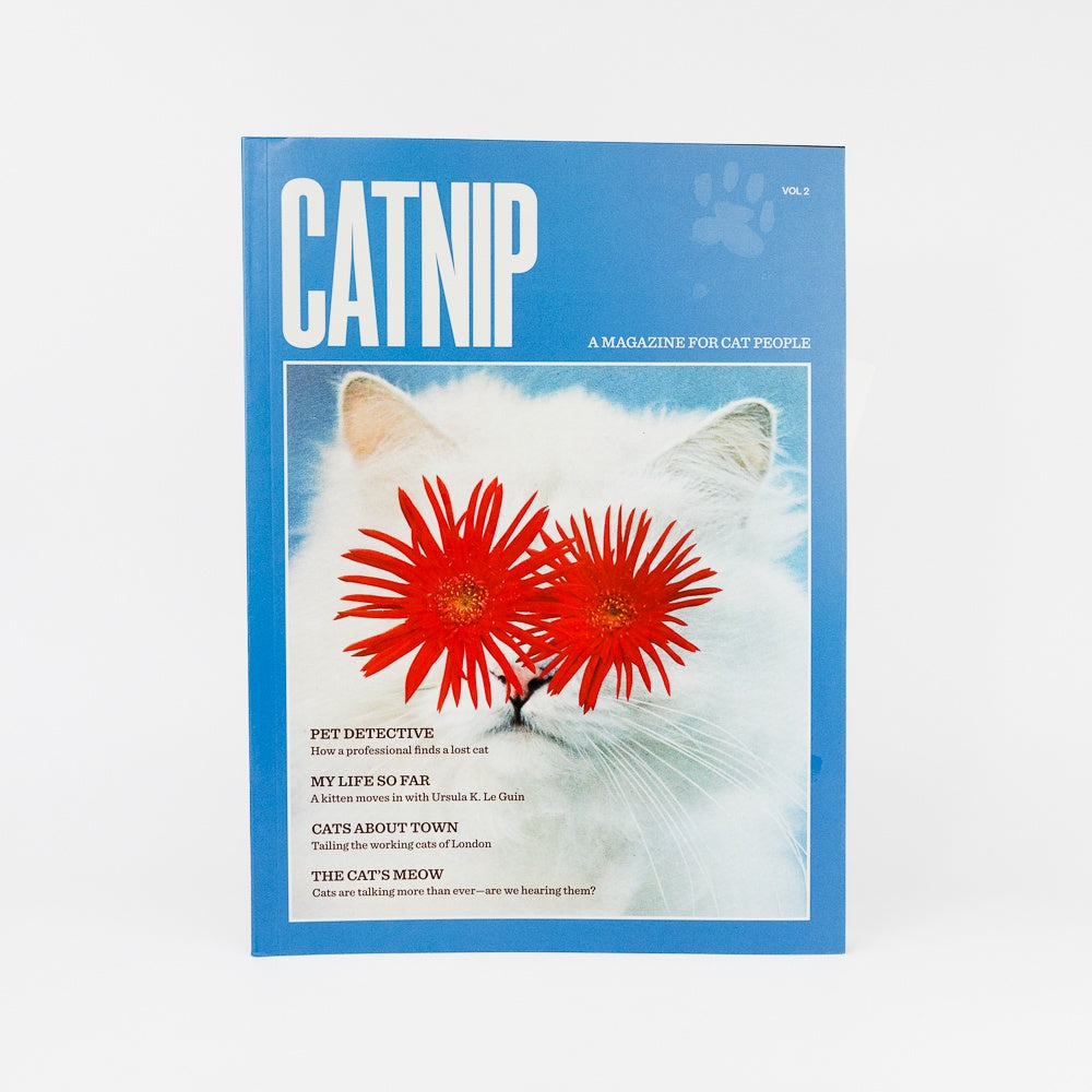 Magazine cover titled 'Catnip' with a cat and flowers on a blue background