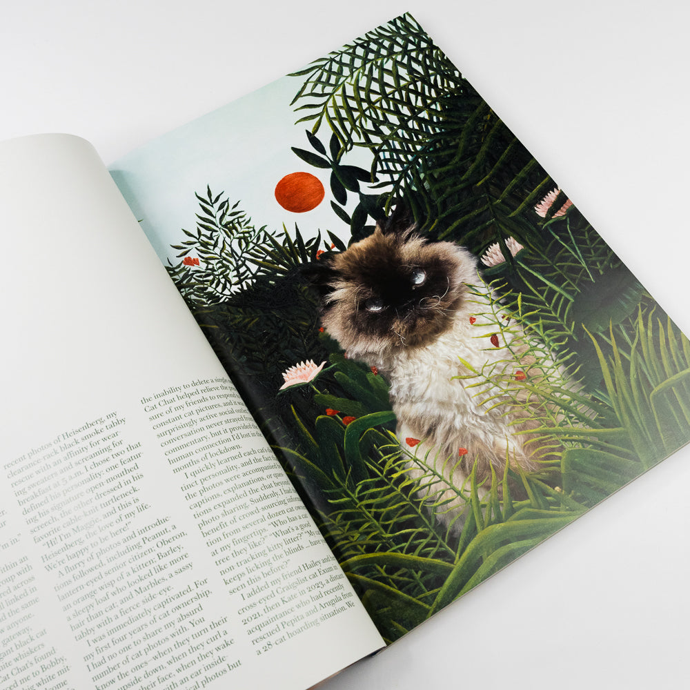 Magazine cover titled 'Catnip' with a cat and flowers on a blue background