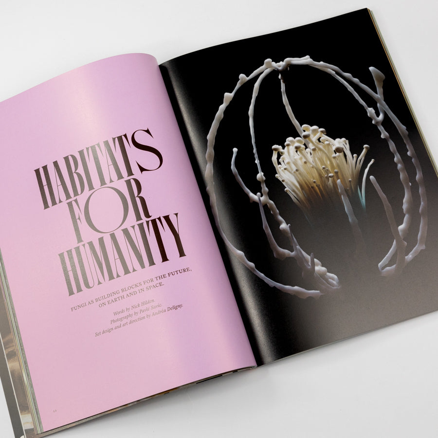 Magazine titled 'Mushroom People' with a colorful cover featuring illustrations of mushrooms.