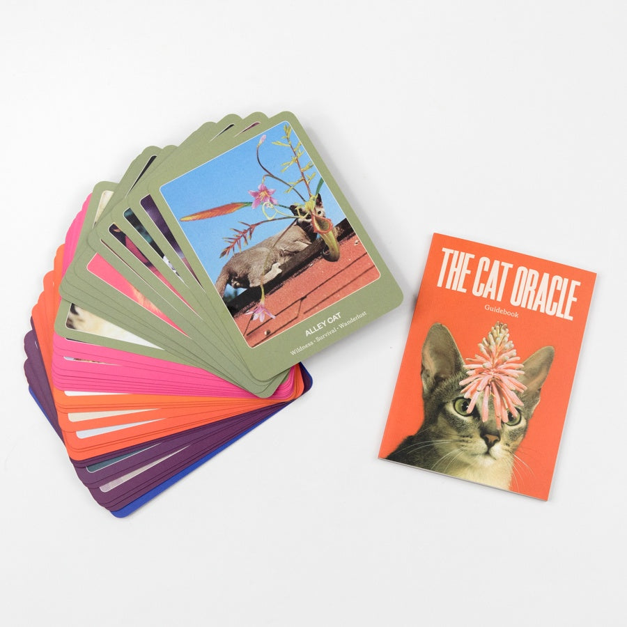 Card deck packaging titled 'The Cat Oracle' with a cat's face with flowers for eyes on a green background.