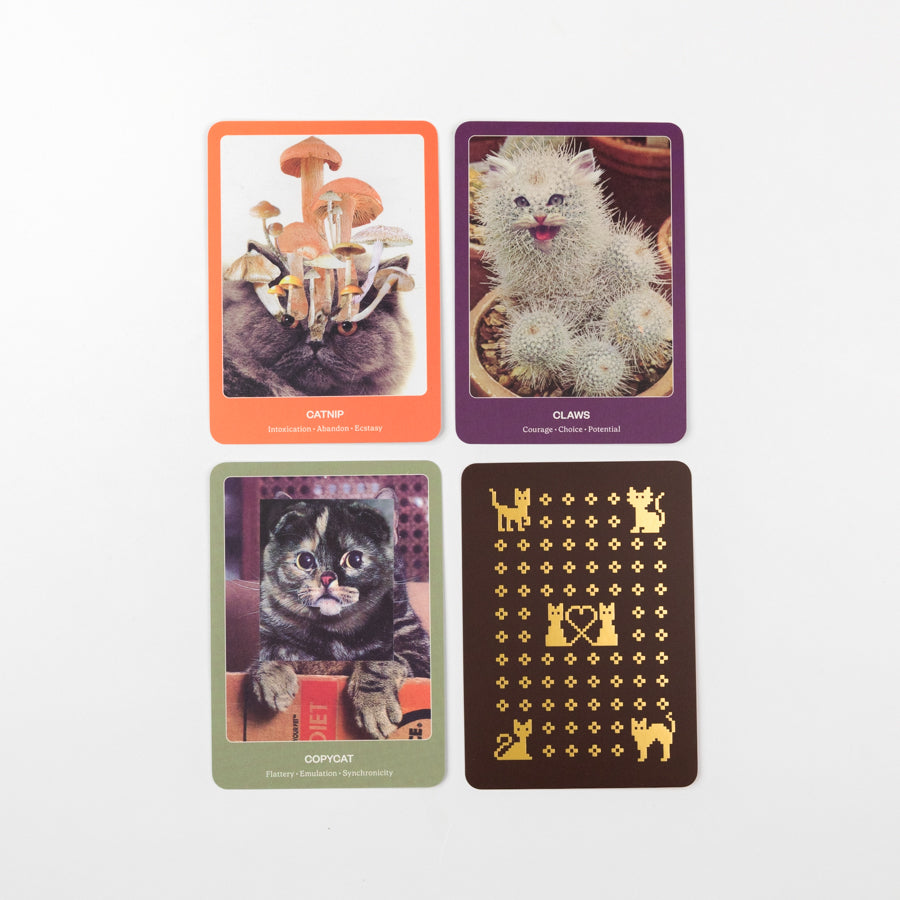 Four cards featuring images of cats and cacti on a white background