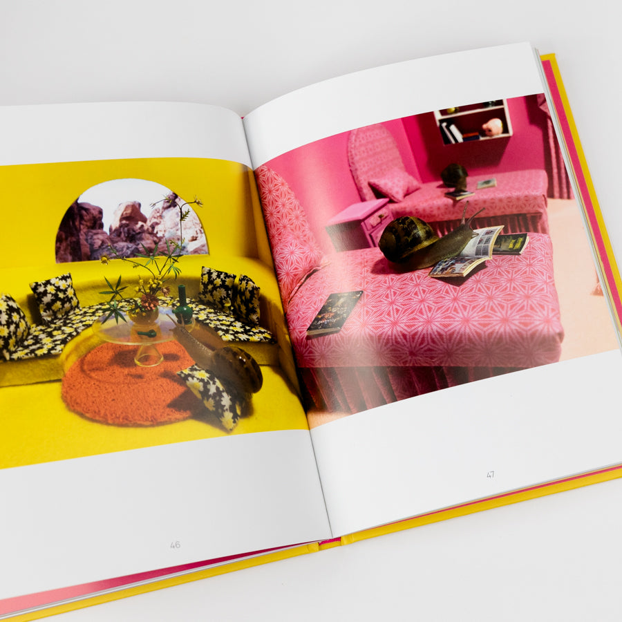 Book cover with yellow background, pink text, and a circular inset showing a snail on a pink blanket.