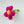 Magenta Flower Stick Rattle by Cheengo