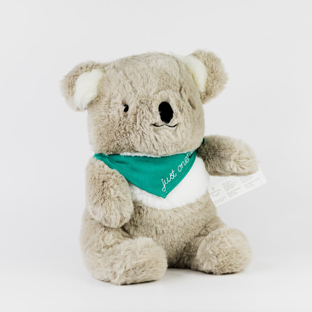 Just One Me: A Big Sibling Gift Set