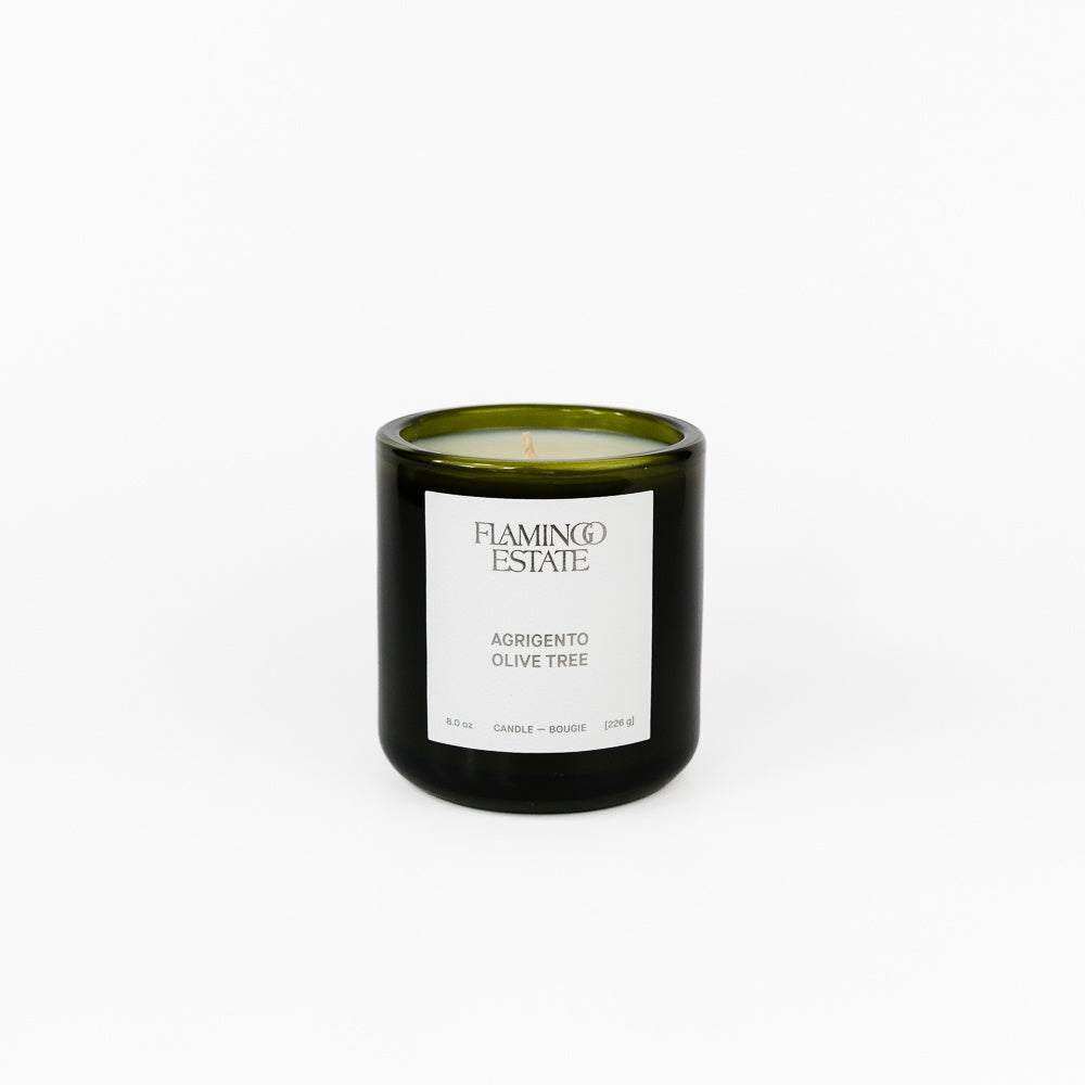 Ancient Agrigento Olive Tree Candle