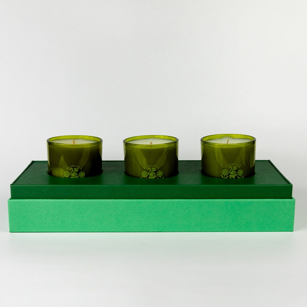 Three green candles on a matching green holder against a white background