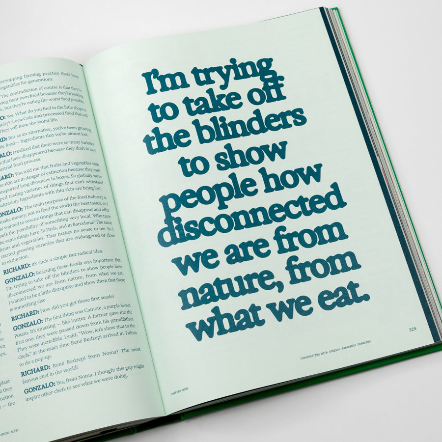 Open book with a quote on a light green background