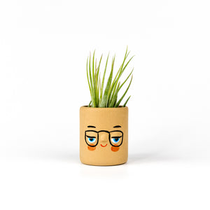 Friend Assembly Mini Pal Planter with Airplant, Sand - Four Eyes