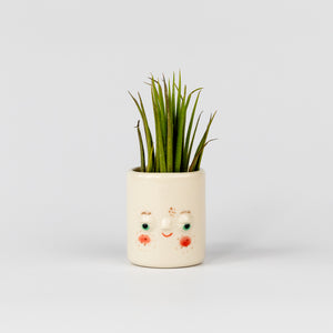 Mini Pal Planter with Airplant - Timmy by Friend Assembly